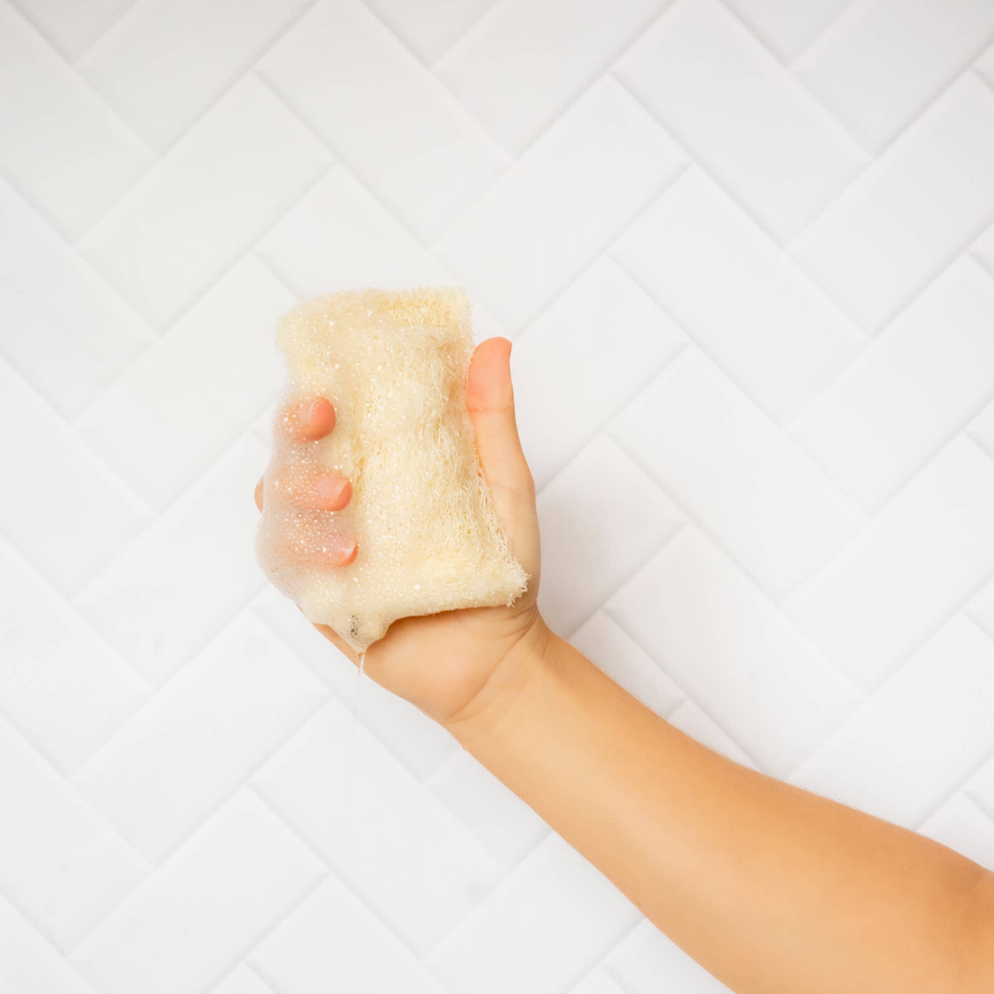 CHAMARREL - Wholesale Cleaning Sponge - Loofah dish sponge | Luffa4