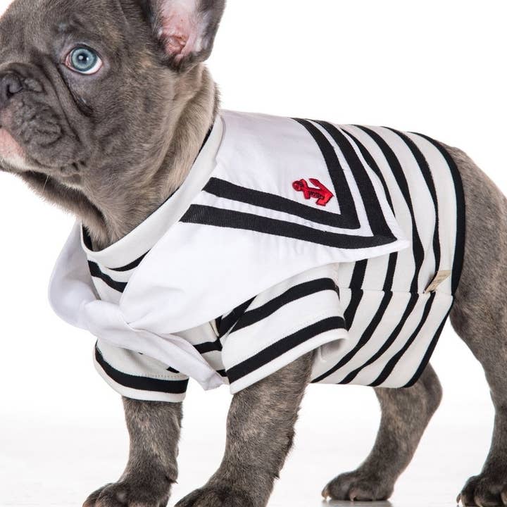 Le Calicó - Wholesale Pet Shirt - Dog - Alta Moda - Venezia T-shirt0