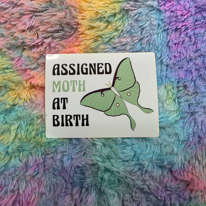 Assigned Moth at Birth Sticker for wholesale by Destructogirl