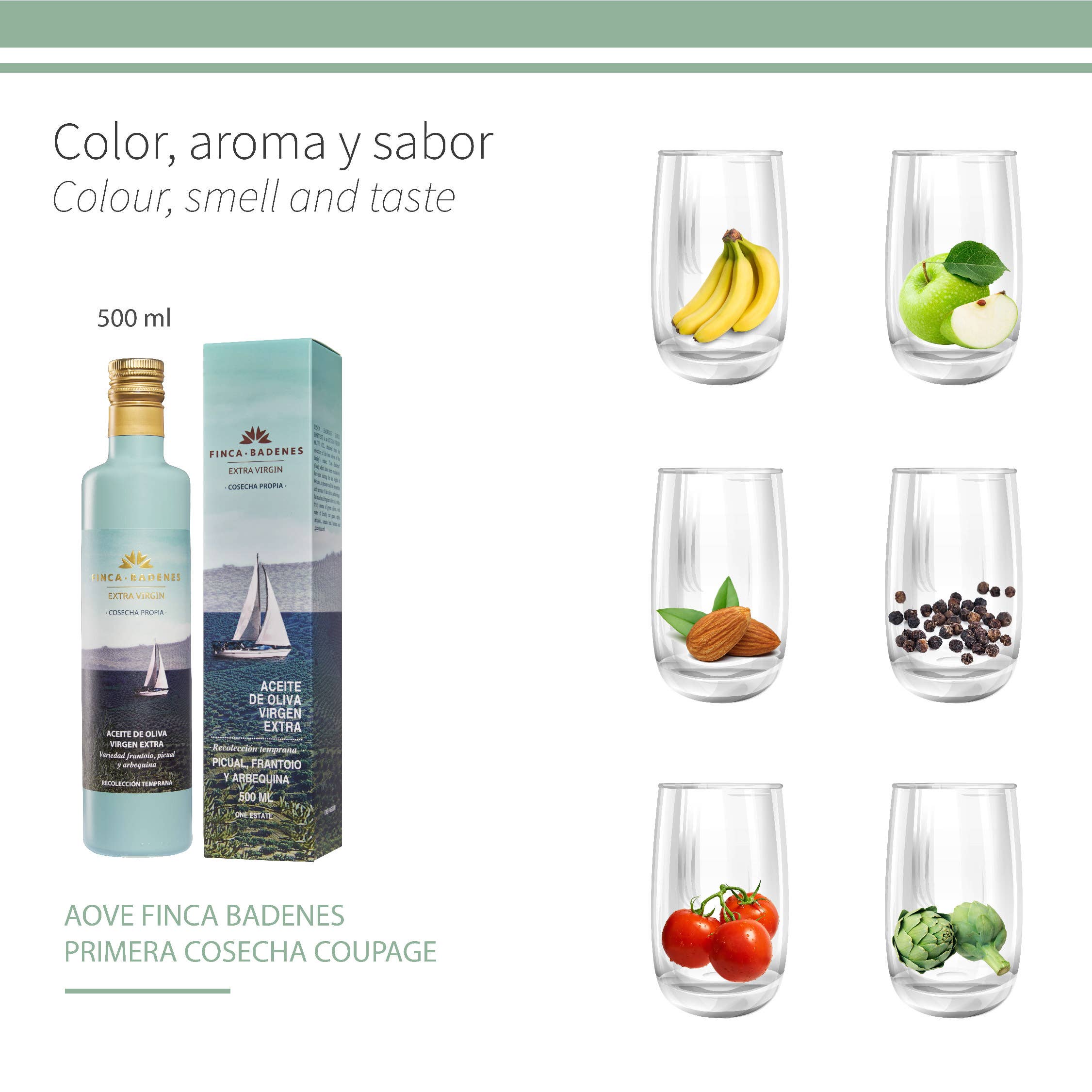 AIRES DE JAEN - Venta al por mayor Aceite de oliva - PACK 24 x 250ml AOVE Finca Badenes COUPAGE Cosecha Temprana1