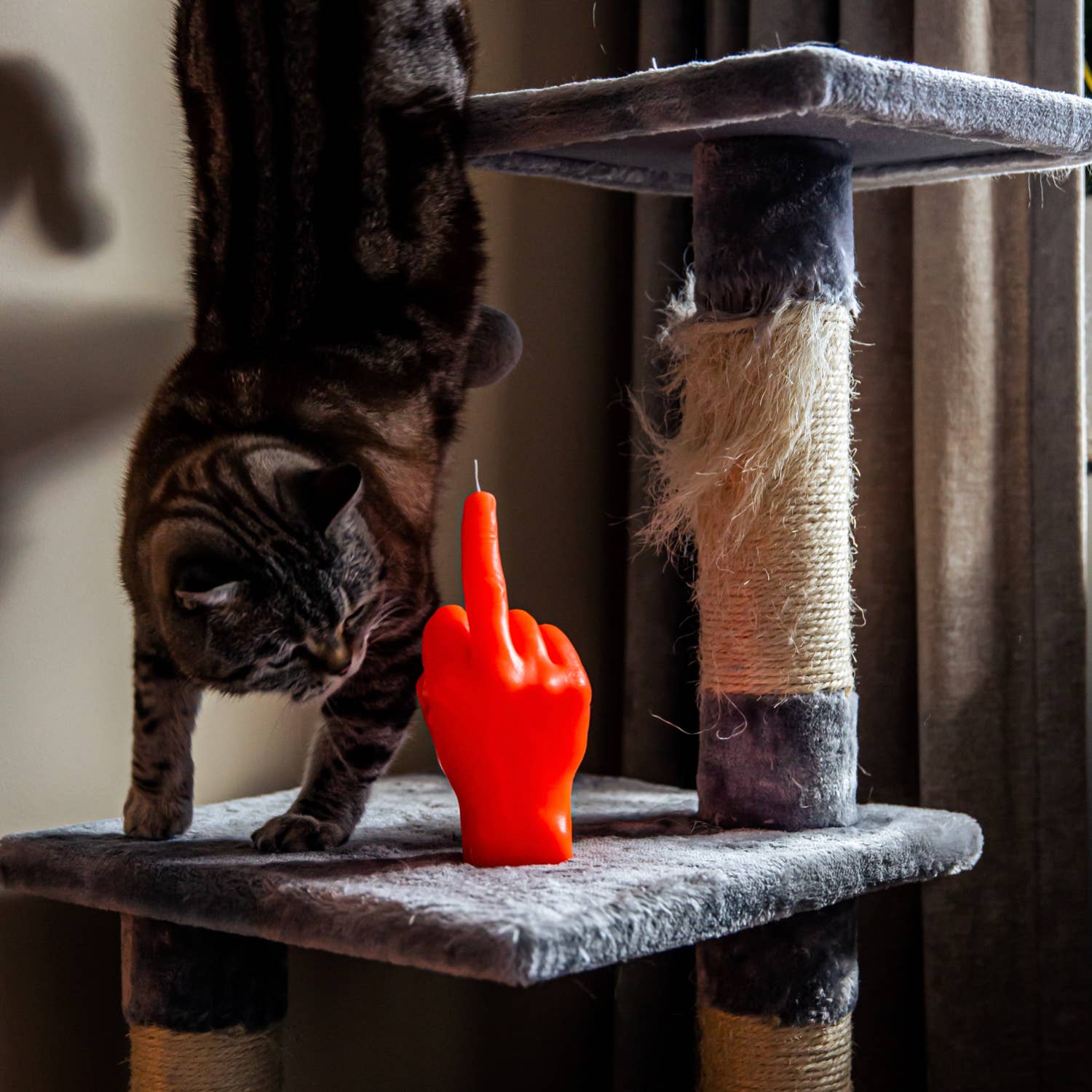 CandleHand (Free Duties for US) – Großhandel Geschenkkerze – F*ck You Kerze – 20 cm hoch – realistische Hautstruktur – Mittelfinger4