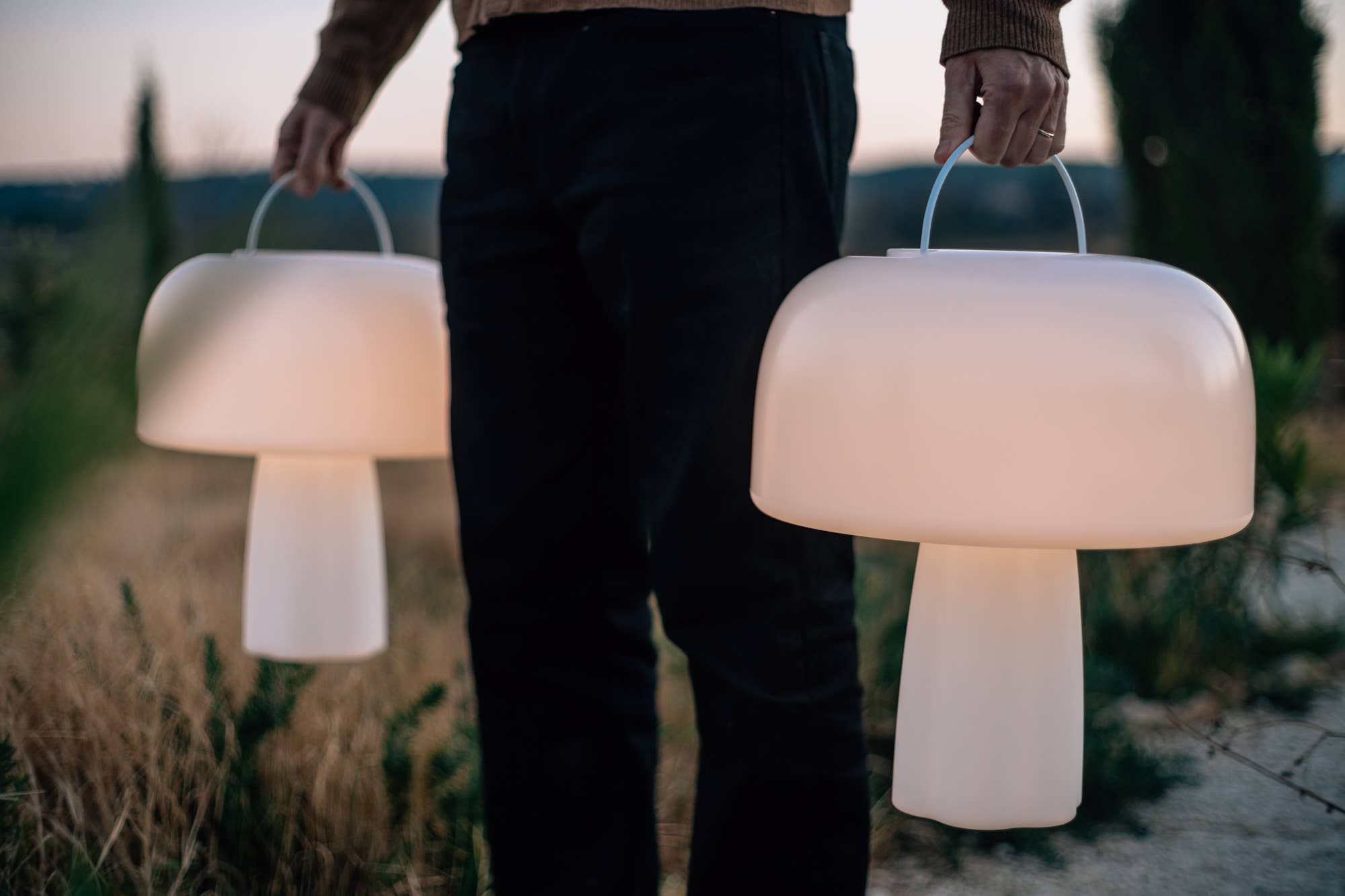 Goodnight Light - Wholesale Accent/Desk Lamp - The Boleti Lamp - Solar powered, portable lamp