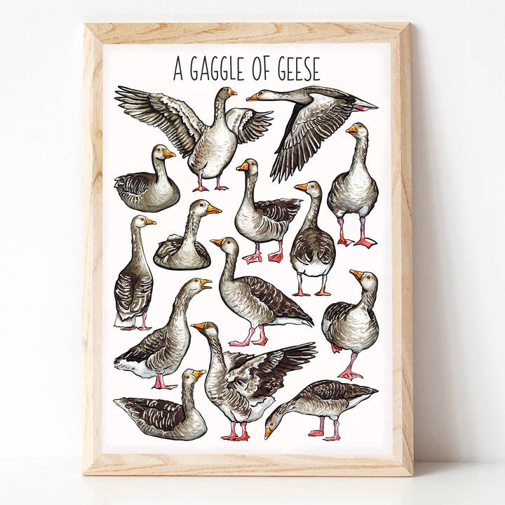 A Gaggle of Geese Art Print for wholesale by Alexia Claire Ltd