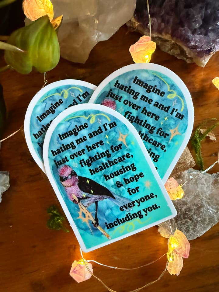 Imaginez me détester et je me bats pour les soins de santé : Autocollant pour la vente par Fabulously Feminist