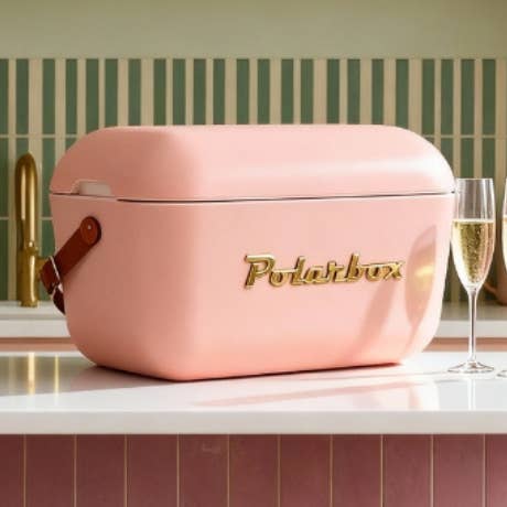 Polarbox Kühlbox Koralle 20L Gold Edition für den Großhandel von BADAWIN