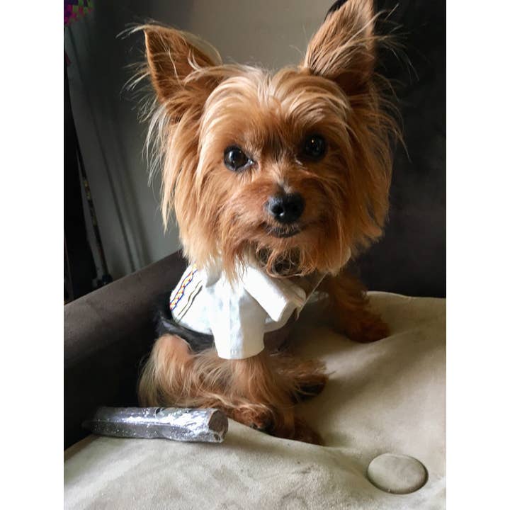Gueyita Mexicana - Wholesale Pet Shirt - Dog - Mexican Dog Shirts/ Mexican Guayabera For Dog