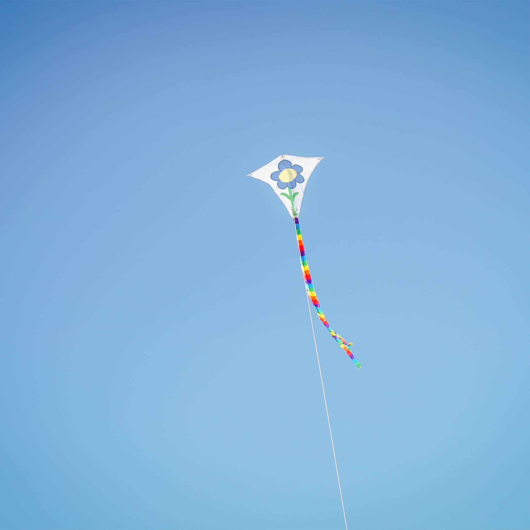 In the Breeze, LLC. - Vente Cerf-volant - Cerf-volant diamant3