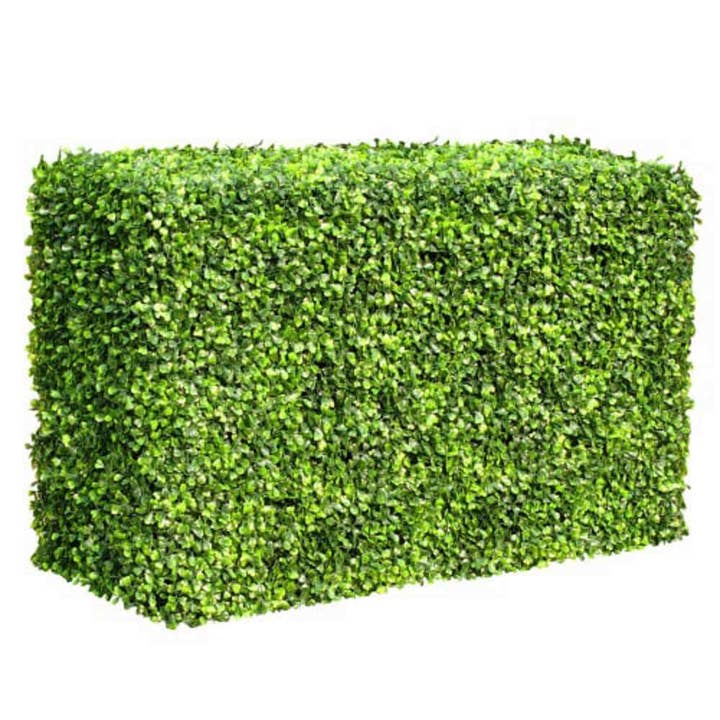 Mixed Boxwood Hedge UV Resistant 100cm Long x 50cm High for wholesale by Designer Plants AU