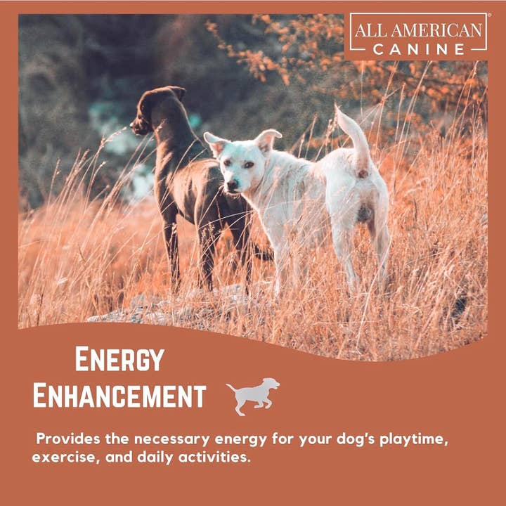 All American Canine - Wholesale Pet Supplement - Dog - Dog Weight Gainer Chews 60 Ct.