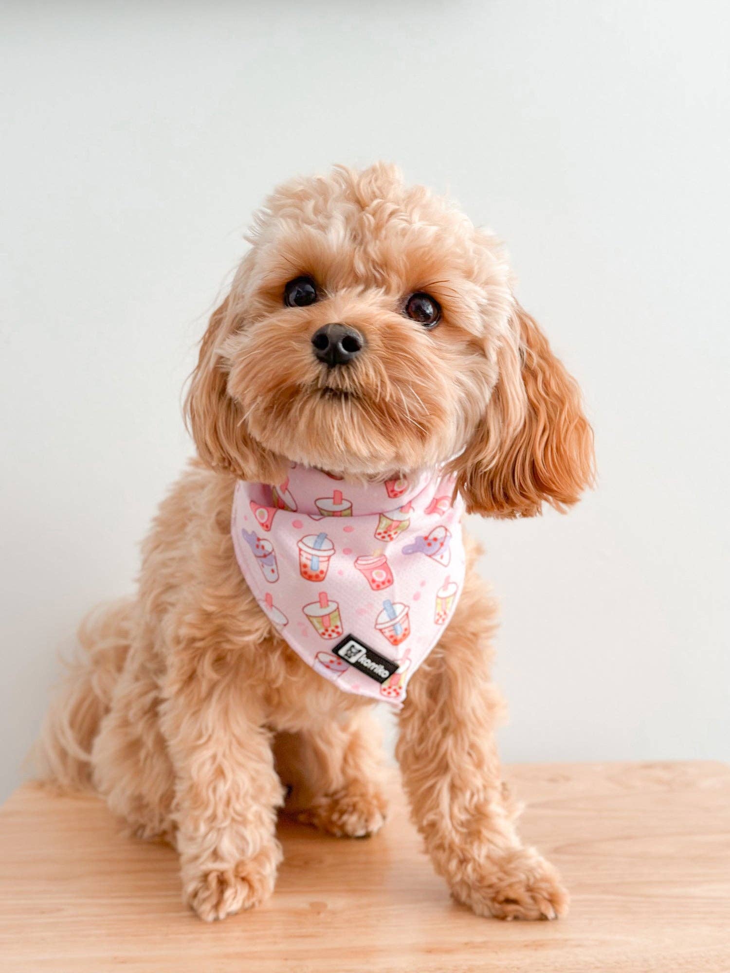 Korriko Pet Supply – wholesale Pet bandana – Dog – Cooling Dog Bandana - Taro Milk Tea3