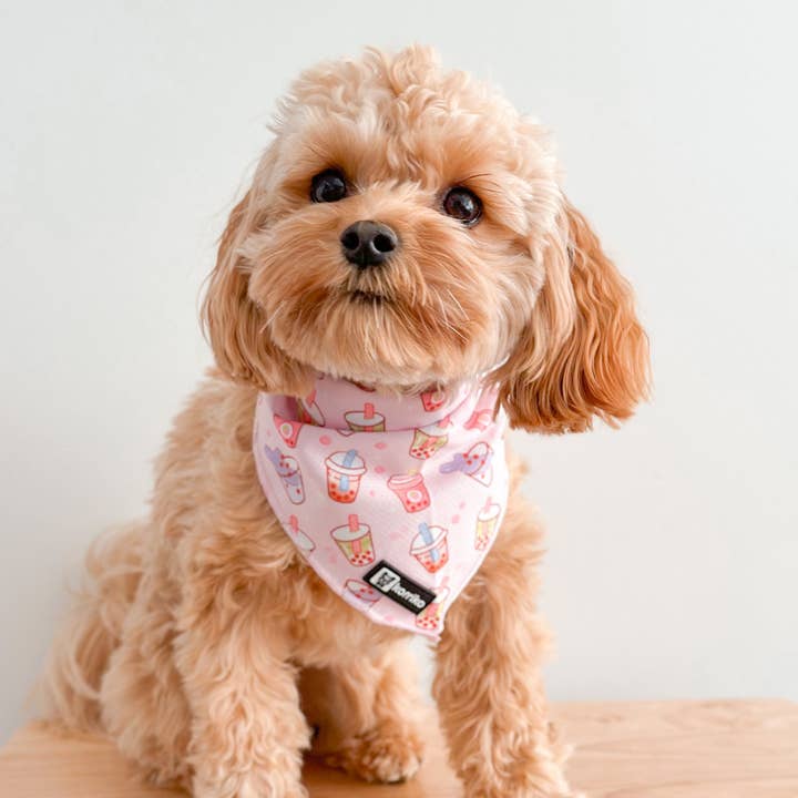 Korriko Pet Supply – wholesale Pet bandana – Dog – Cooling Dog Bandana - Taro Milk Tea3