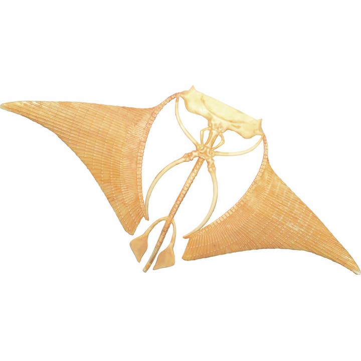 TEDCO Toys - Wholesale Classic Toy - Kids - 4D Manta Ray3