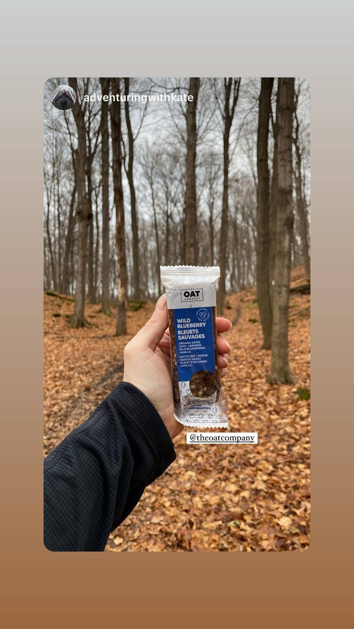 The Oat Company - Wholesale Snack Bar - Wild Blueberry5