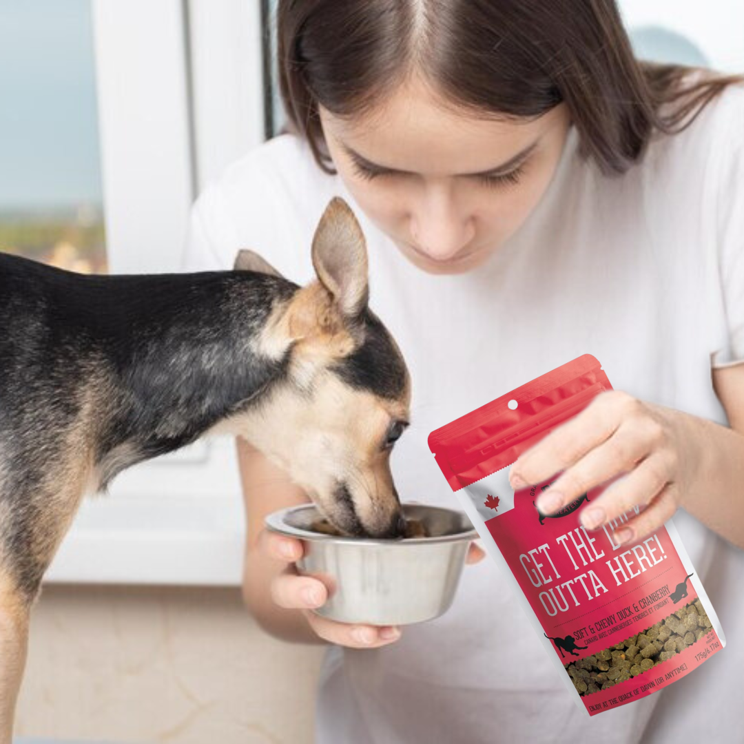 The Granville Island Pet Treatery (USA) - Wholesale Pet Treats - Dog - Duck & Cranberry Soft Dog Treats: Chewy & All-Natural6