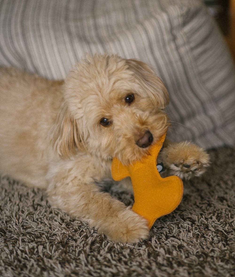 CAFIDE – Großhandel Haustierspielzeug – Hund – Hundespielzeug in Senf-Form2