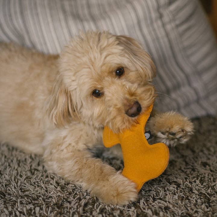 CAFIDE – Großhandel Haustierspielzeug – Hund – Hundespielzeug in Senf-Form2