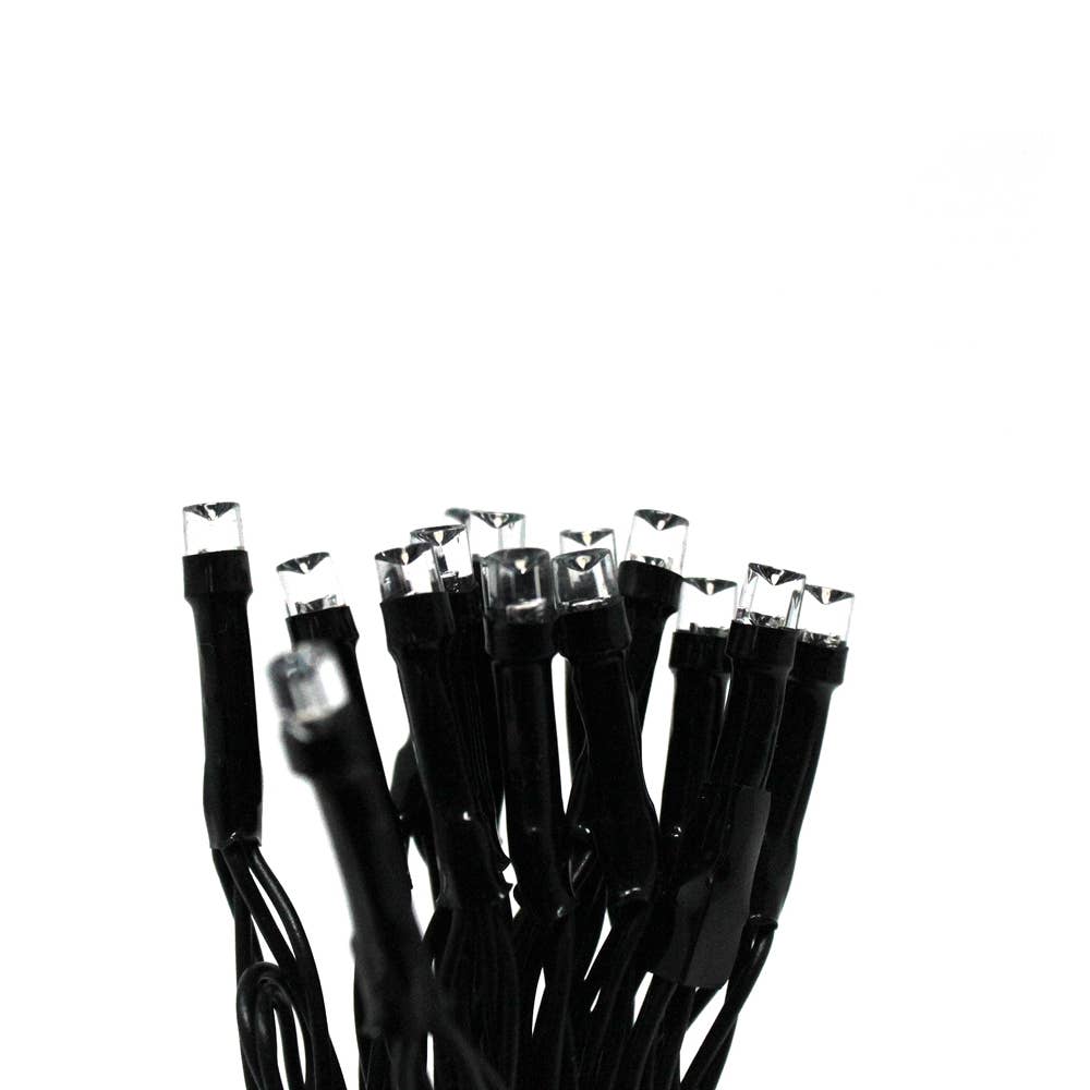 Perfect Holiday - Wholesale String Lights - 30 LED String Light Battery Operated - Black Wire - Purple3