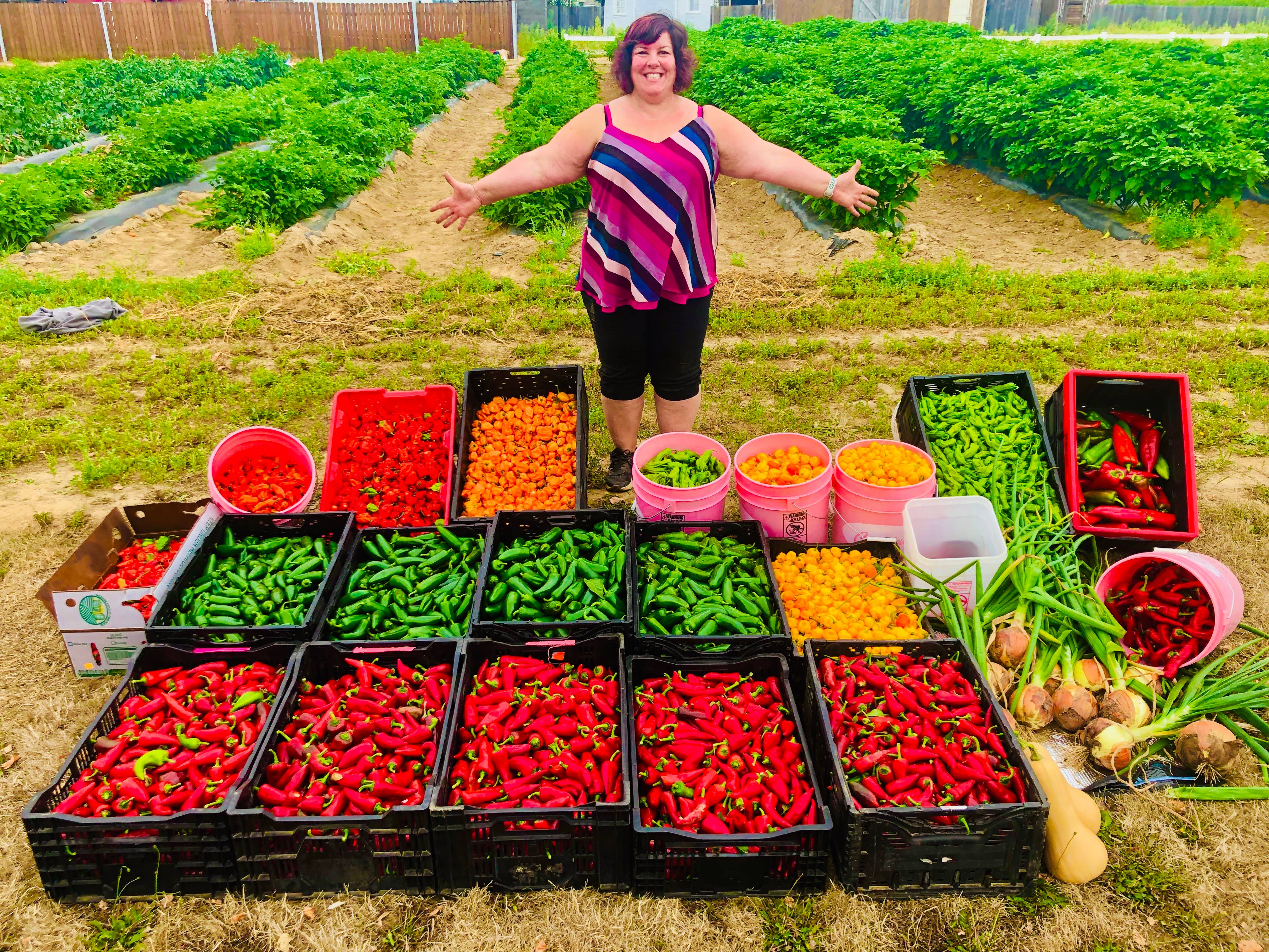 Rose City Pepperheads - Vente Confiture/gelée - Gelée de piments Marionberry Blast3
