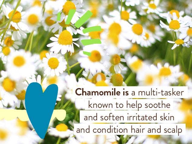 Babo Botanicals - Wholesale Sunscreen - Super Shield Mineral Sunscreen Spray SPF505