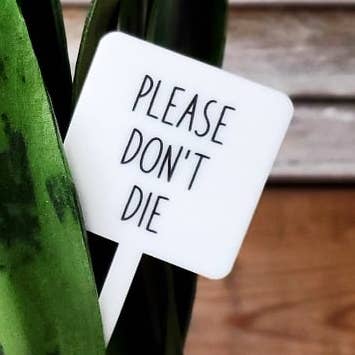 Snarky Plant Marker Stake - Please Don't Die for wholesale by Mad River