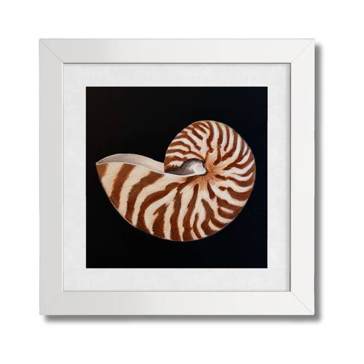 Nautilus Art Print for wholesale by Jessie Perez Art