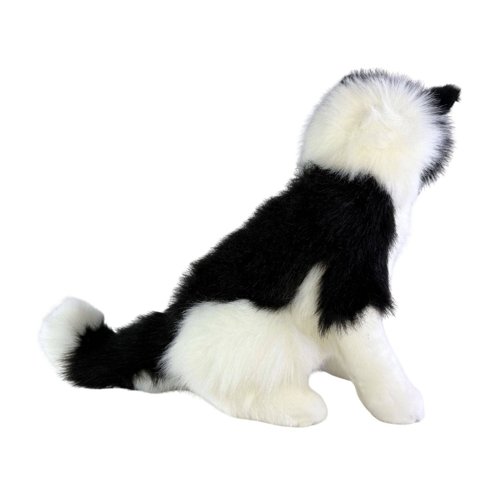 Bocchetta Plush Toys - Wholesale Pet Plush Toy - Dog - Tommy - Border Collie - 35cm sitting6