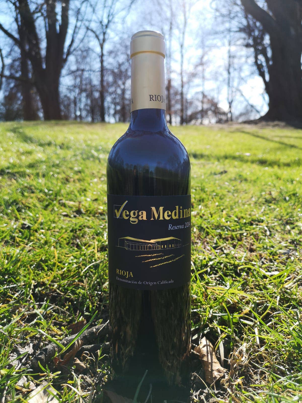 Viñedos y Bodegas Lyng – Engroshandel Rødvin – Reserva D.O.C. rødvin Rioja Vega Medina2