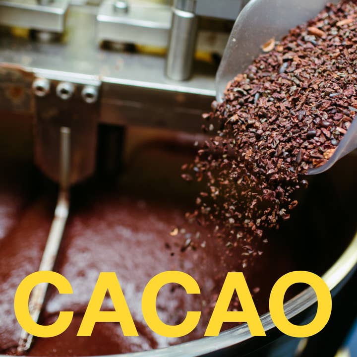 Eat Gold Organics - Wholesale Chocolate Bar - The Untamed a 24k Gold, Functional, Delicious Chocolate Bar