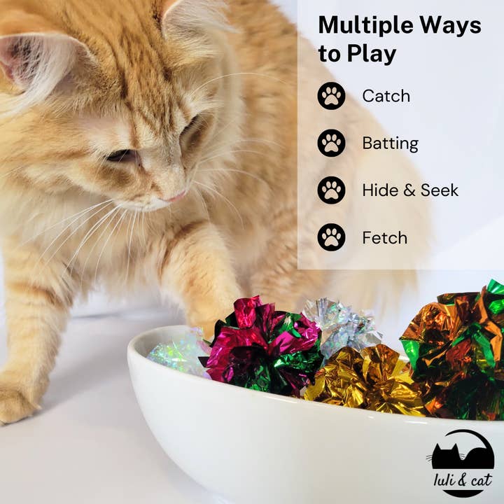 Luli & Cat - Wholesale Pet Toy - Cat - 10-Pack Foil Crinkle Cat Ball Toys in Assorted Colors1