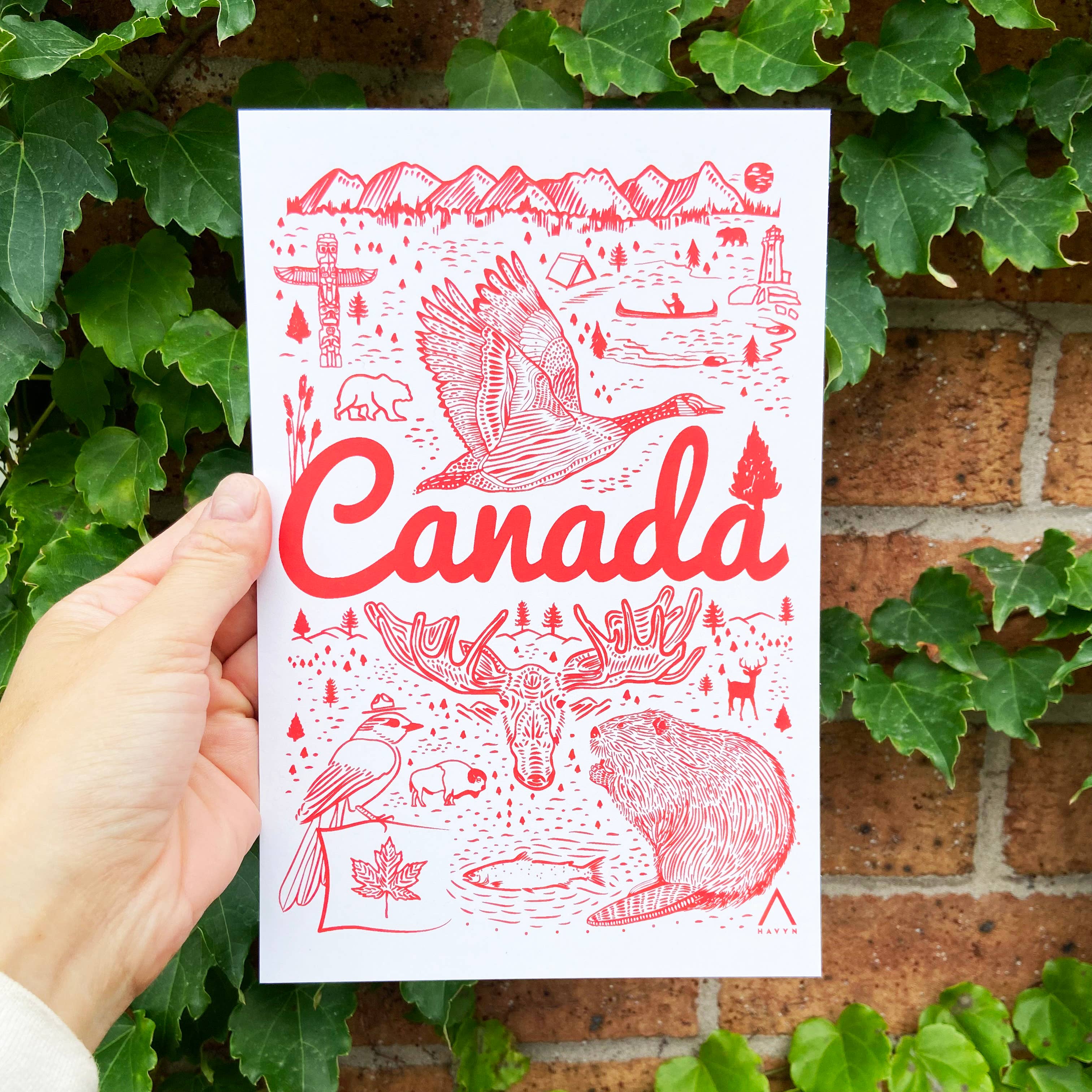 HAVYN - Vente Cartes postales - Carte postale Symboles du Canada 6x93