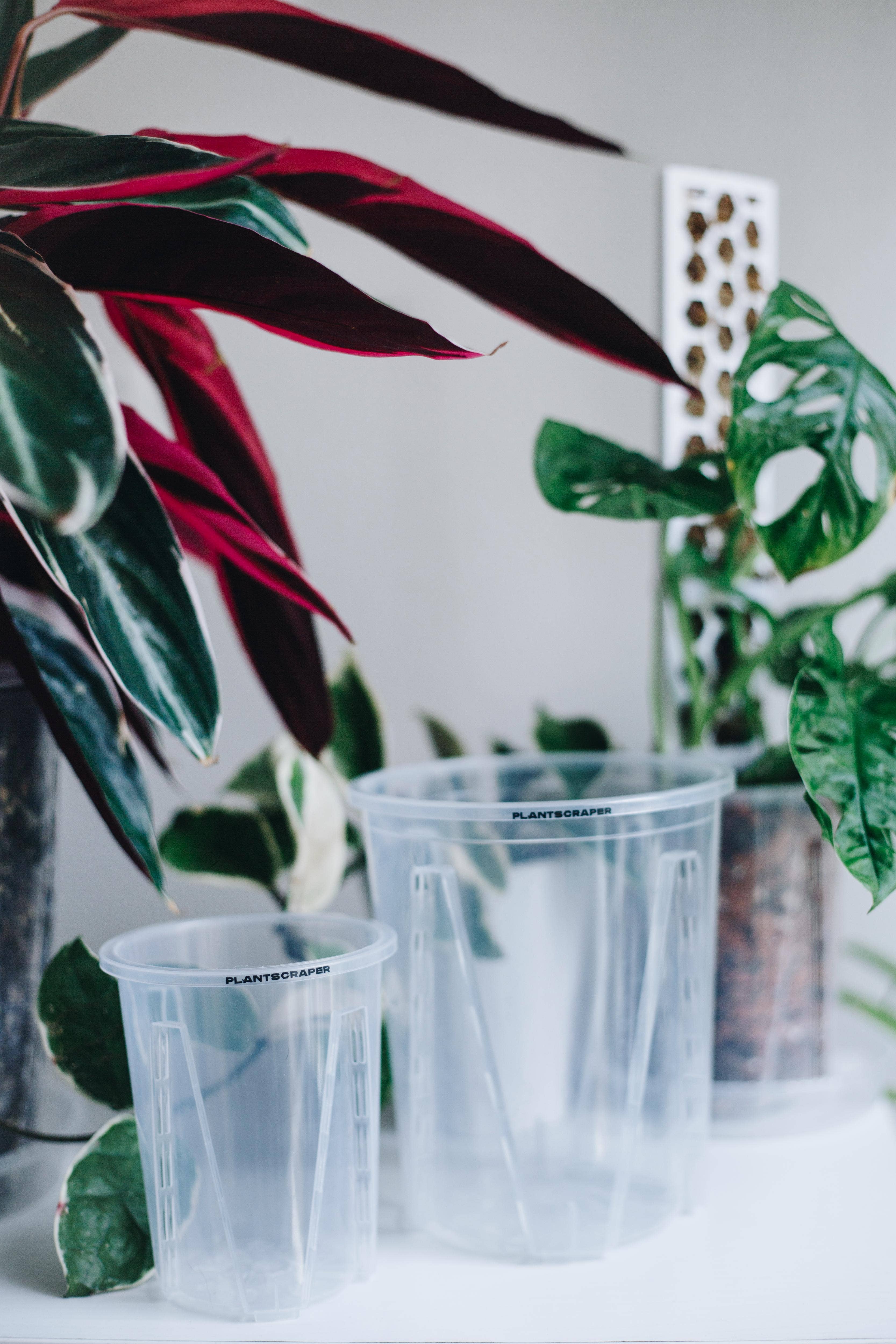 PlantScraper – wholesale Kruka – PlantScraper transparent ventilerade krukor för aroidväxter2