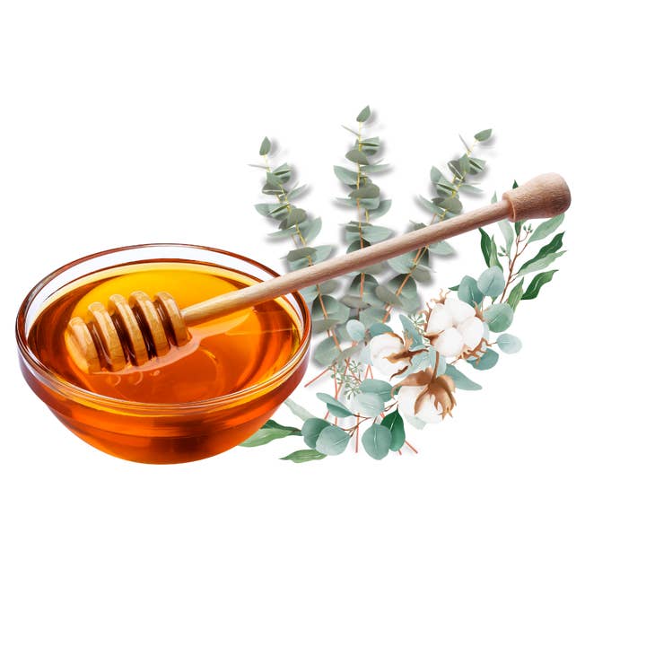La Truscia Tipico Siciliano - Vendita all'ingrosso Miele - Miele di Eucalipto di Sicilia 120gr