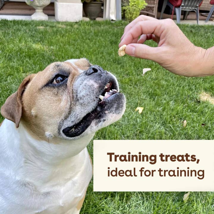 Pupford - Wholesale Pet Treats - Dog - Freeze Dried Shrimp Training Treats10