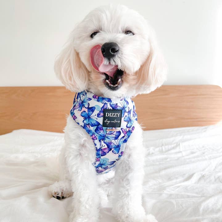 Dizzy Dog Collars - Wholesale Pet Harness - Dog - DOG HARNESS | Butterfly Ballet | Neck Adjustable Dog Harness1