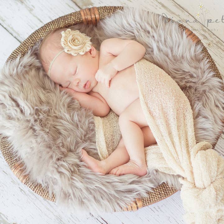 Grande toile de fond en vinyle de 12 pi x 8 pi pour la vente par Swanky Prints