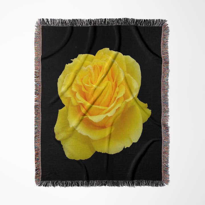 3dRose - Wholesale Throw Blanket - 3dRose, Yellow Rose Close up photograph ofyellow rose of texas isolated on black background, Blanket0
