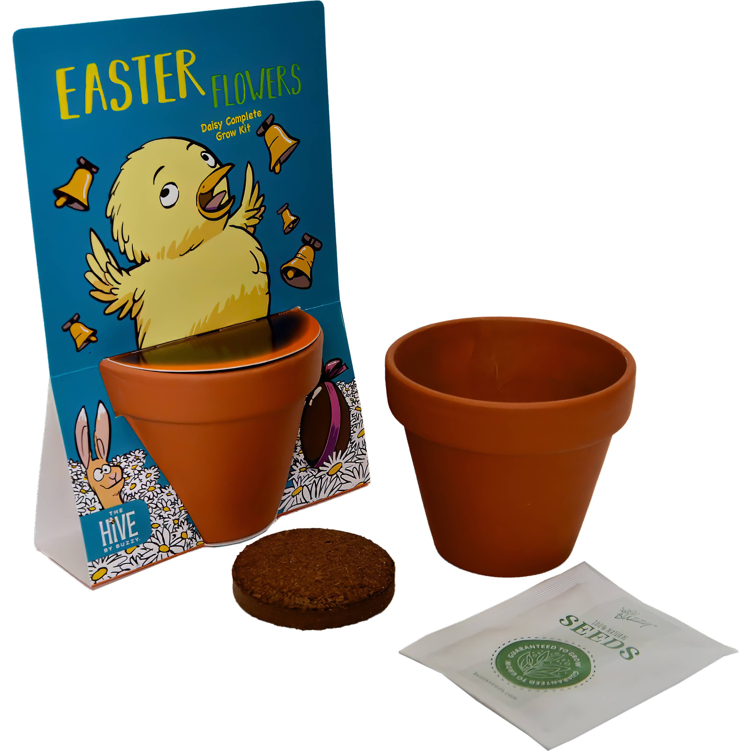 Buzzy Seeds Grow Gifts - Vente Graines de plantes - Kit de culture de fleurs de Pâques fantaisiste – Cadeau de fête du printemps1