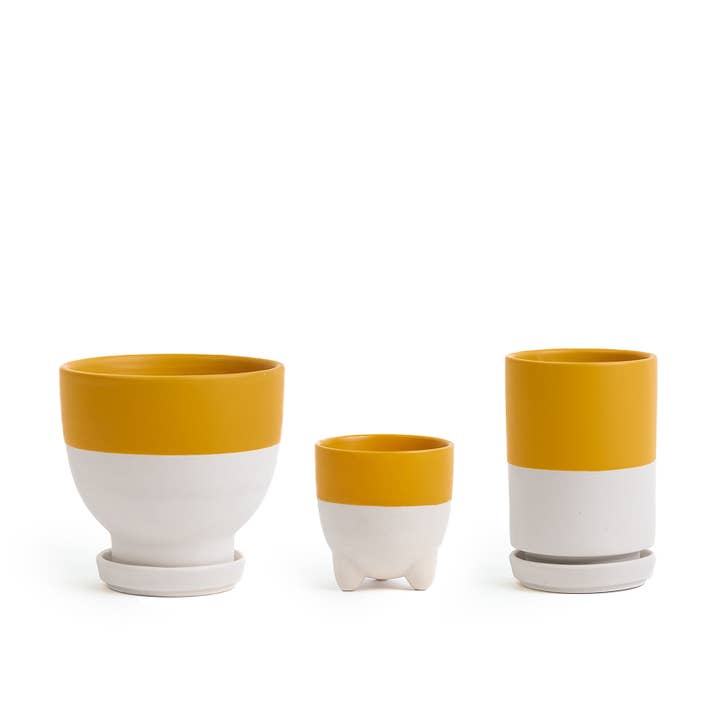 Momma Pots - Wholesale Plant Pot - Plant Junkie Pack - 16 pc/cspk17