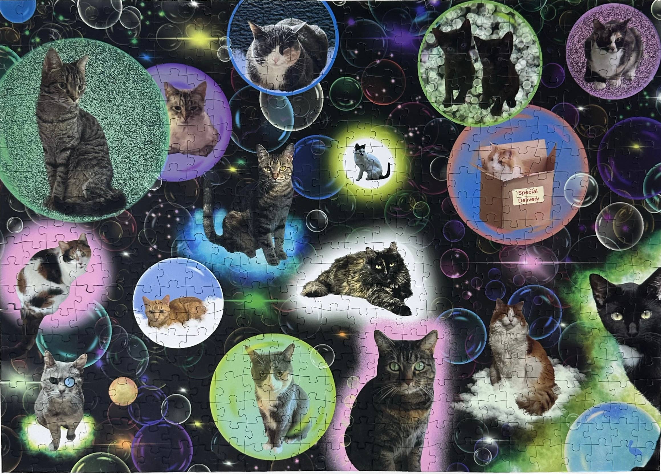 Mimsybird Puzzles – wholesale Puzzle – Adult – Bubble Cats 500-piece Premium Jigsaw Puzzle2