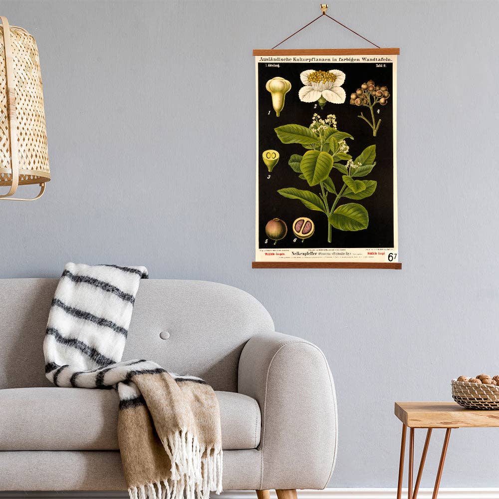 Vintage Banners - Vente Affiche d'art - Art mural en toile botanique florale Zippel imprimé poivre de Jamaïque3