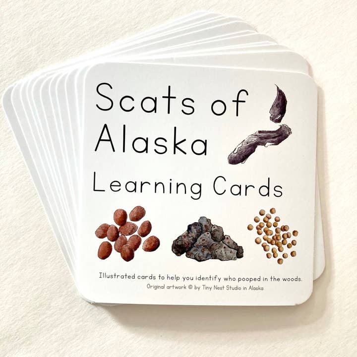 Tiny Nest Studio - Vendita all'ingrosso Carte didattiche - Bambini e neonati - Carte didattiche Scat of Alaska1