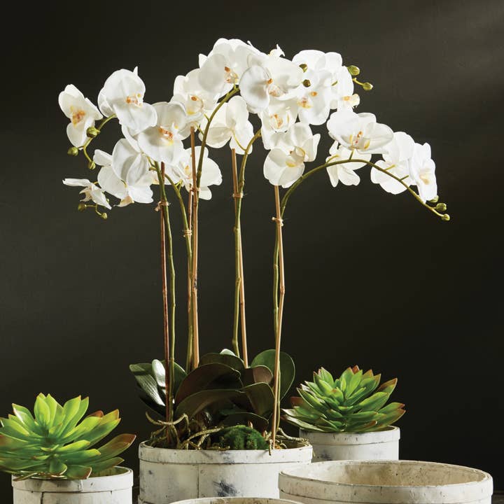 Napa Home & Garden - Wholesale Artificial Flowers - Phalaenopsis Orchid Bowl Drop-In 25"2