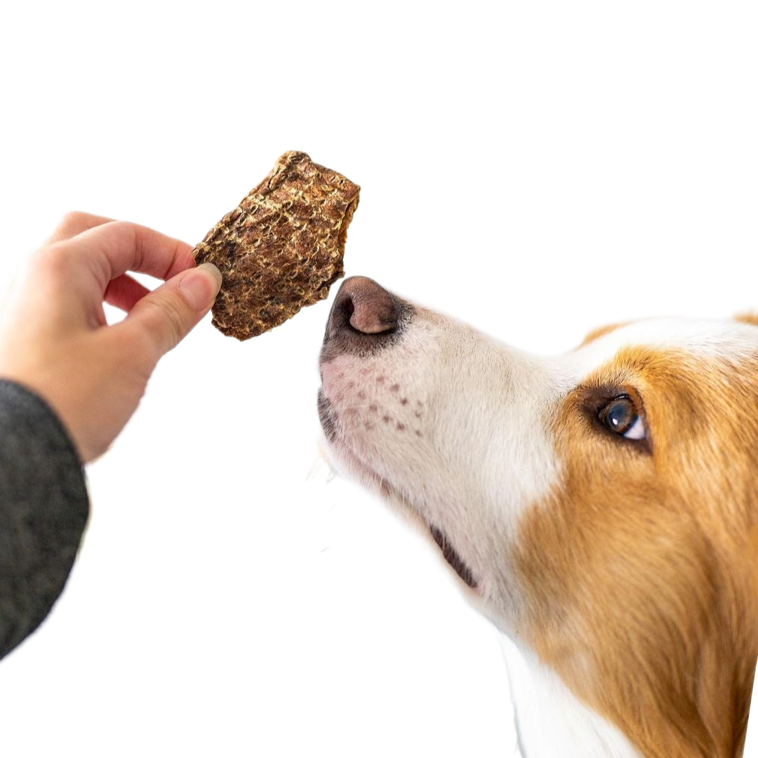 Pet Botanica - Wholesale Pet Treats - Dog - Lamb Puffs Dog Treats | Australian-made Pet Treats 2