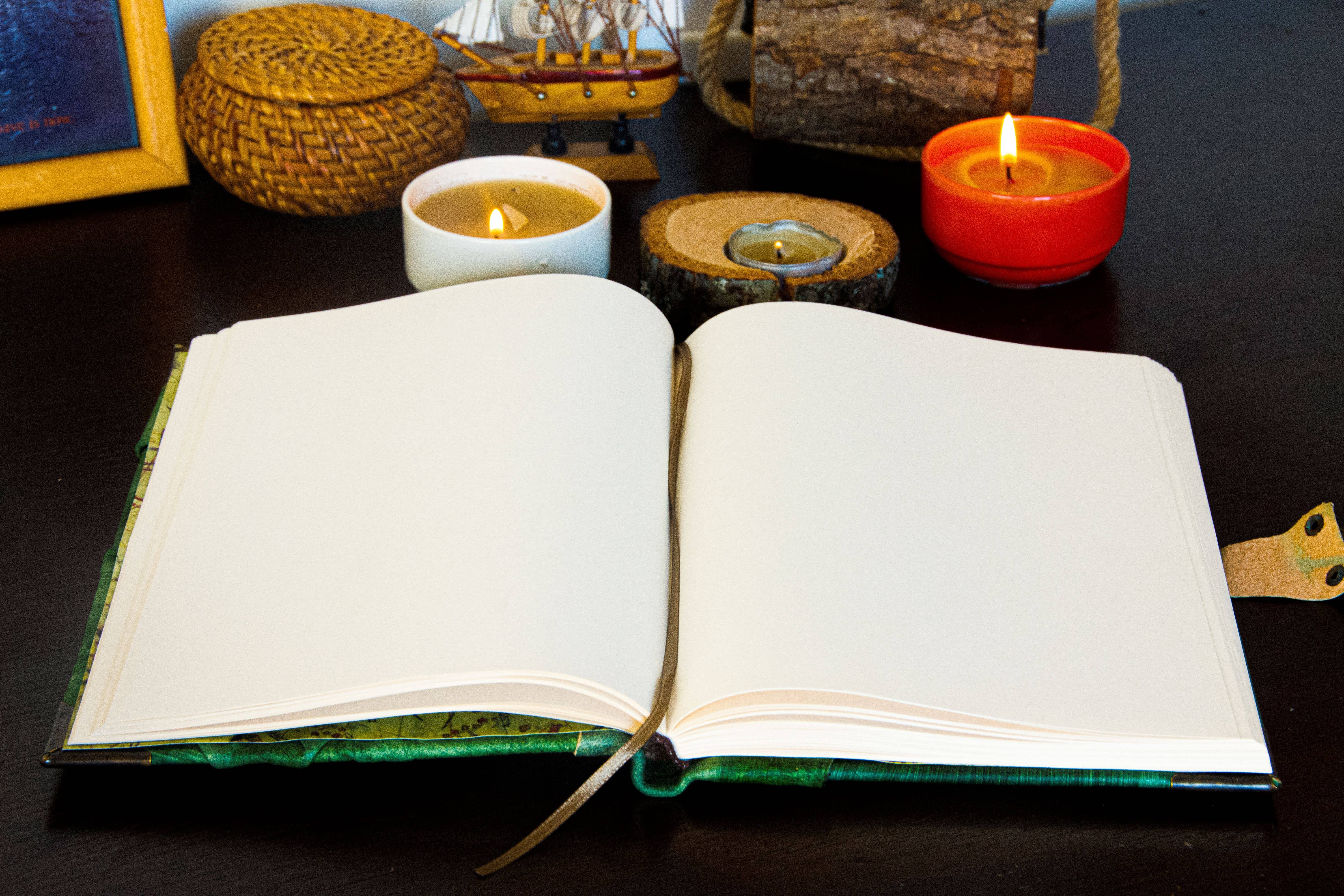 ML Marcaleather – Großhandel Tagebuch – Grünes Krokodilauge Wildes Journal Tagebuch Notizbuch Skizzenbuch1