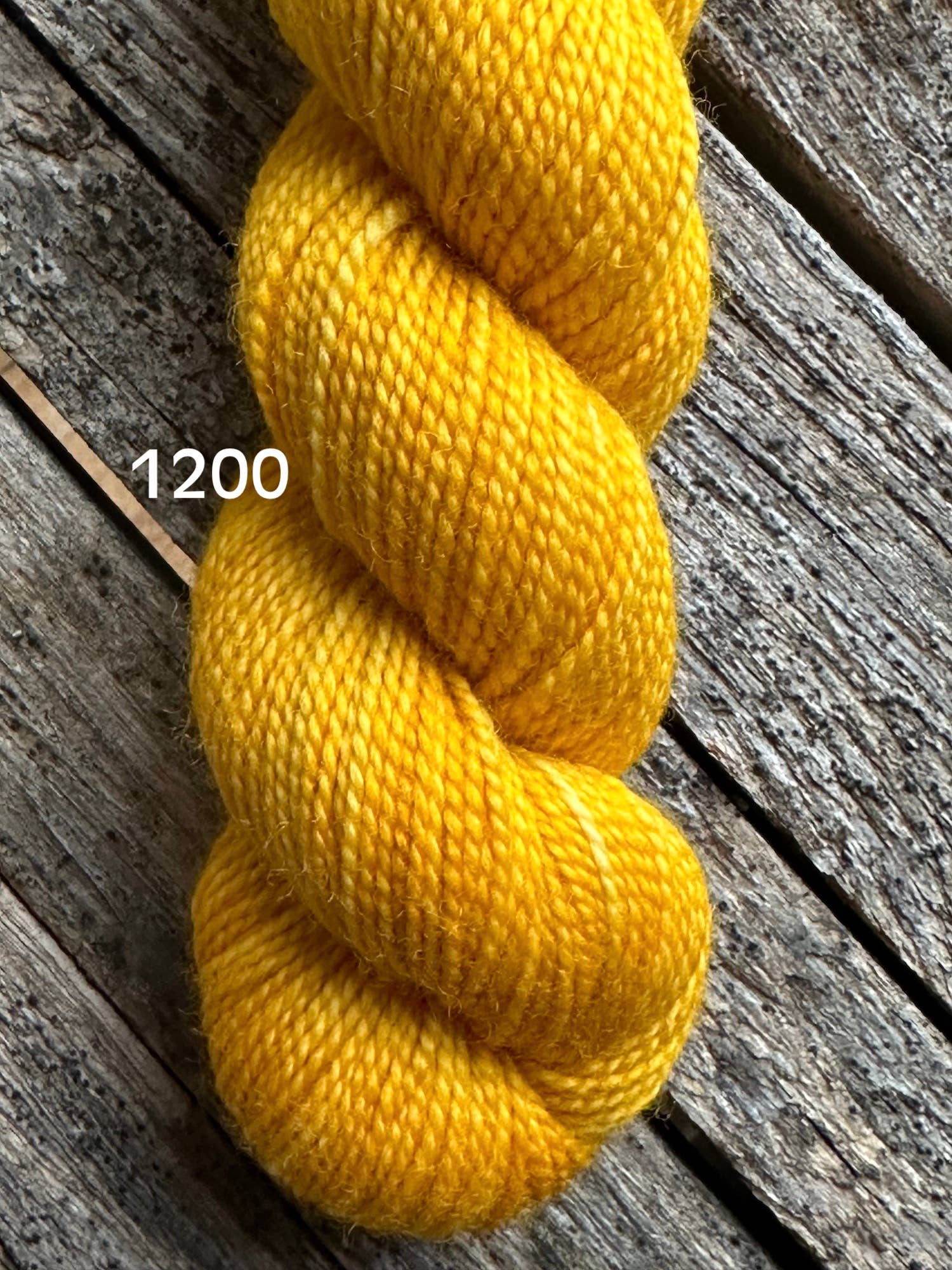 Koigu Wool Designs – Großhandel Garn – KPM (Halbton) Part 1 Fingering (5 Stränge pro Beutel)23