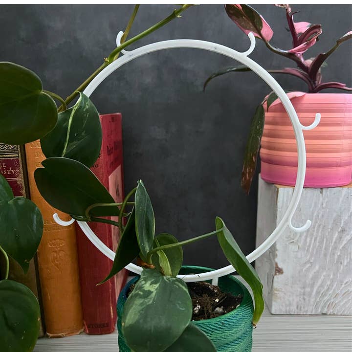 Floraform Creations - Wholesale Trellis - Houseplant Trellis for Climbing Plants, 6 In Hoop with Hooks1
