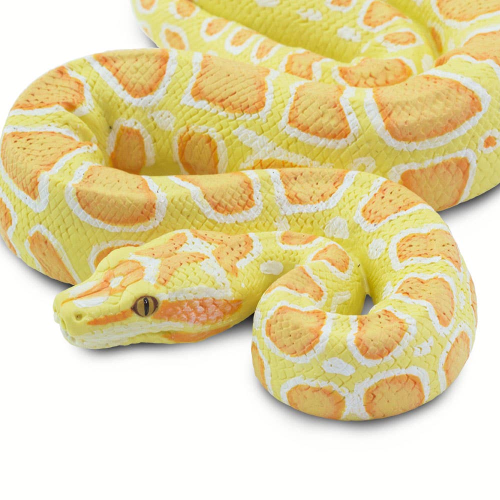 Safari Ltd. - Wholesale Decorative Figurine - Albino Burmese Python - 1002506
