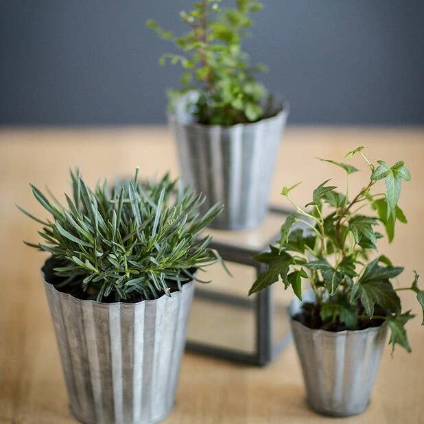 Vagabond Vintage - Wholesale Plant Pot - Set Of 3 Tin Pots0