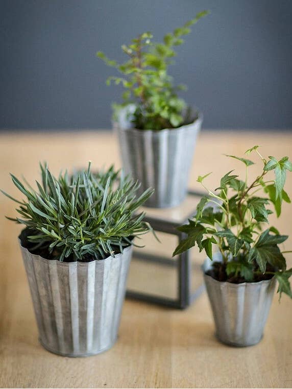 Set di 3 vasi di latta. per la vendita all'ingrosso da parte di Vagabond Vintage