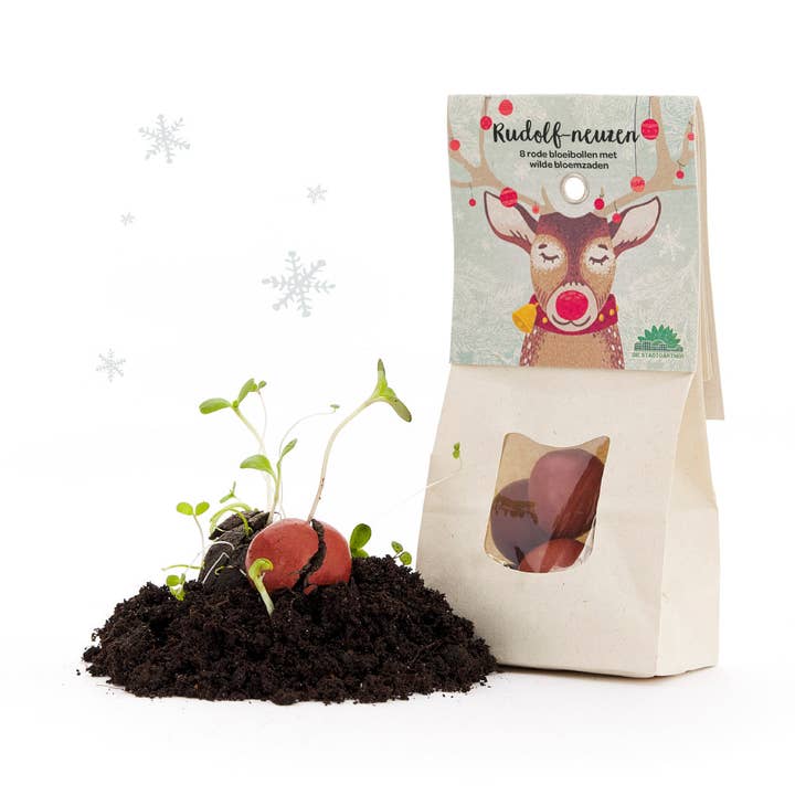 Rudolph the Red-Nosed Reindeer – Red Flower Marbles (NL) for wholesale by TDJ Stadtgärtner GmbH